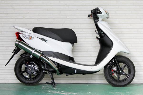 独特な Realize スズキ GSR250 AriaスラッシュTypeS ienomat.com.br