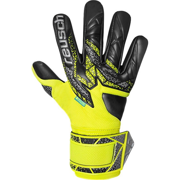 reusch ロイシュ アトラクト ゴールドX NC 5570955 2025 サッカー GK ゴールキーパー グローブ レアルスポーツ