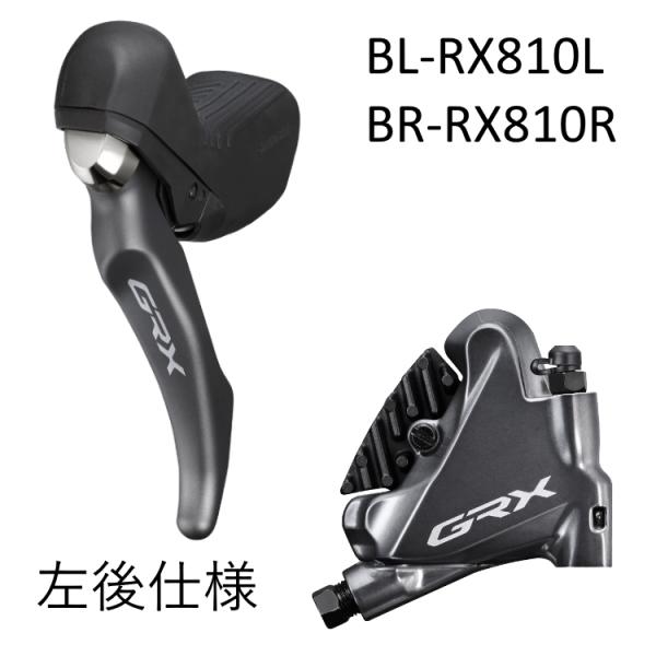  【M6AYTY2120R】 限定デザイン