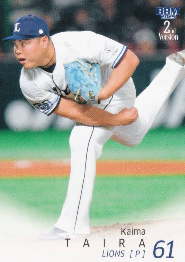 西武ライオンズ　2枚セット jambalaya_23topnpbch-053ref