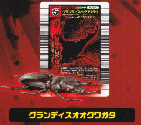 楽天市場】【パラワンオオヒラタクワガタ】甲虫王者ムシキング ムシ