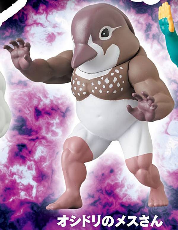 楽天市場】【ゴイサギさん】ガチムチ鳥6 : REALiZE トレカ＆ホビー楽天