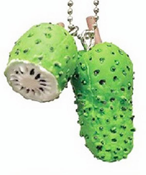 楽天市場】【パンダの穴】 フルーツゾンビ3 ○KIWI キウィフルーツ