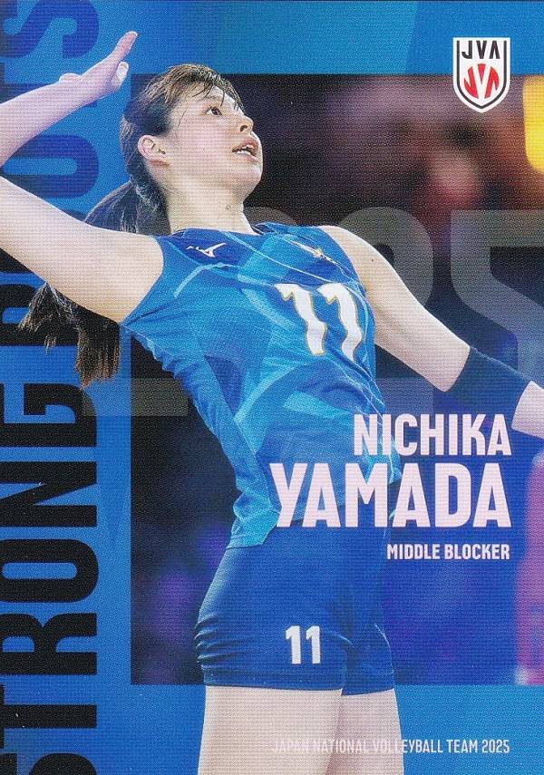 楽天市場】「バレーボール女子日本代表2025」 トレーディングmini色紙