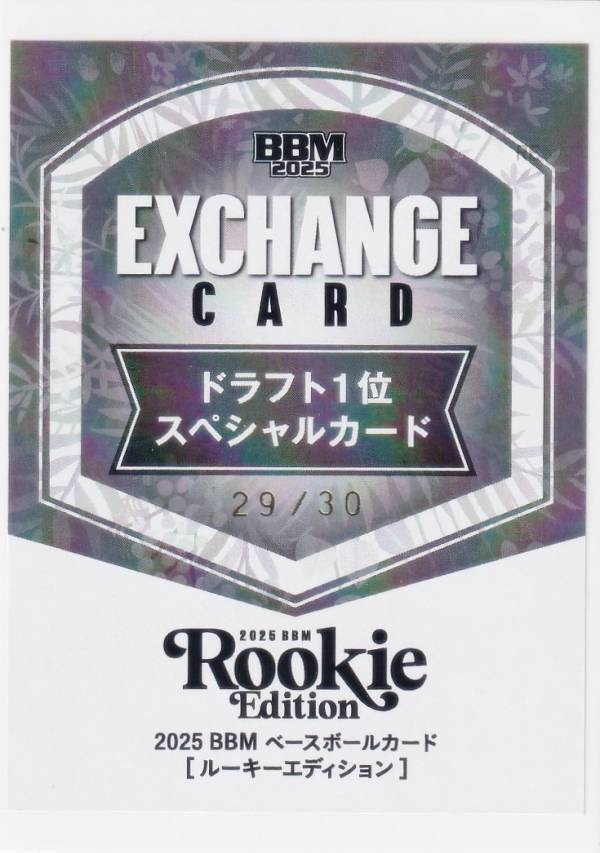 【29/30】BBM ベースボールカード 竹田祐 横浜DeNAベイスターズ (スペシャルインサートカード/ルーキーサイン色紙交換券) 2025 ルーキーエディション