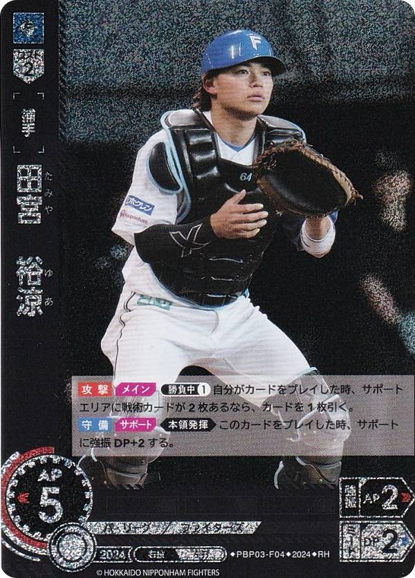 楽天市場】【スペシャルパラレル】ドリームオーダー PBP03-F06 F