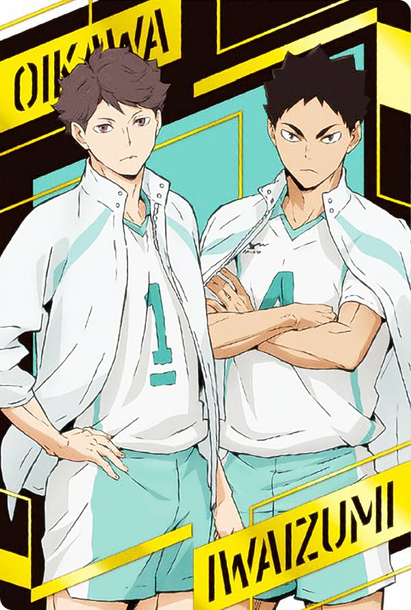 ハイキュー 及川徹 トレーナー 人気】ハイキュー!! - 東武動物公園