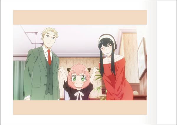 楽天市場】【BOX販売】スロウ・ダメージ グッズ ぱしゃこれ