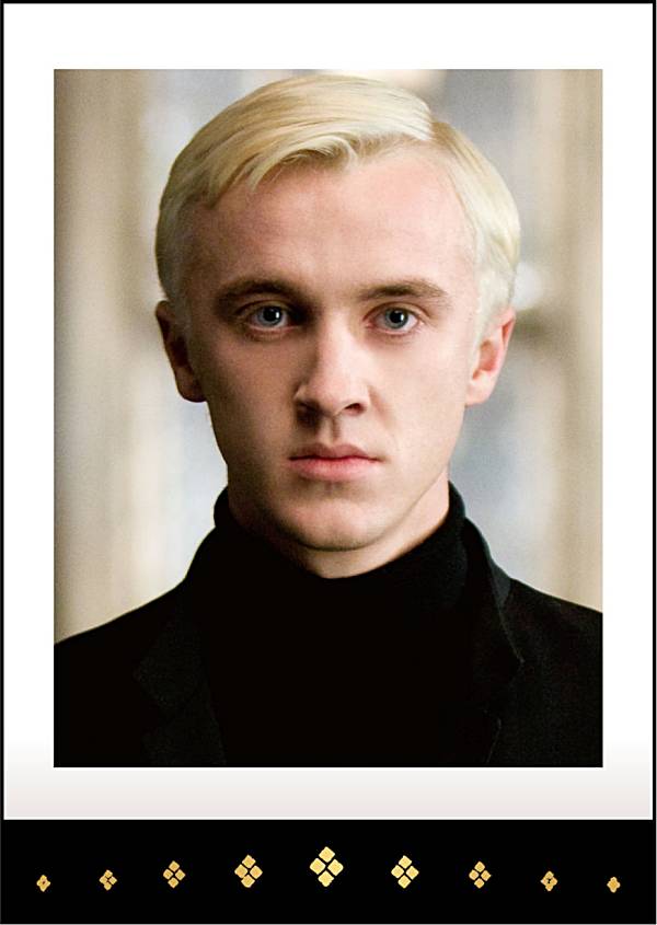 楽天市場】【18.セドリック・ディゴリー】ハリー・ポッター ぱしゃこれ