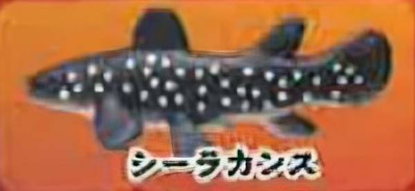 楽天市場】ZAK 深海生物 海洋堂 シーラカンス : amax 楽天市場店