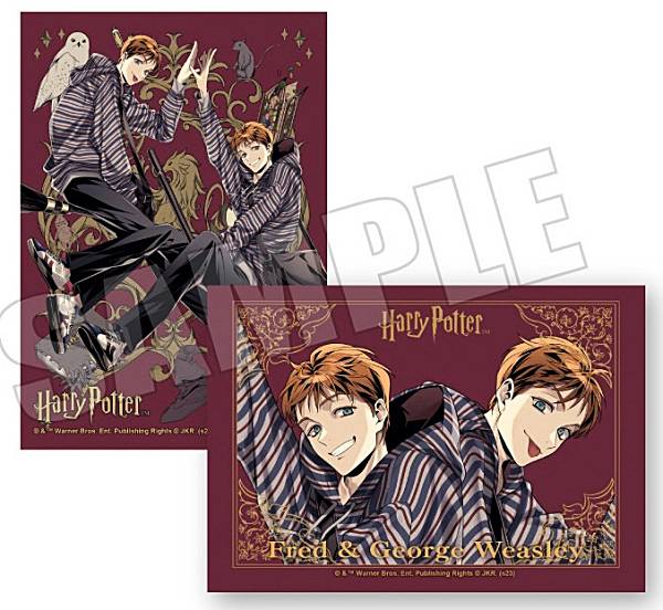 楽天市場】【セドリック・ディゴリー】ハリー・ポッター ブロマイド