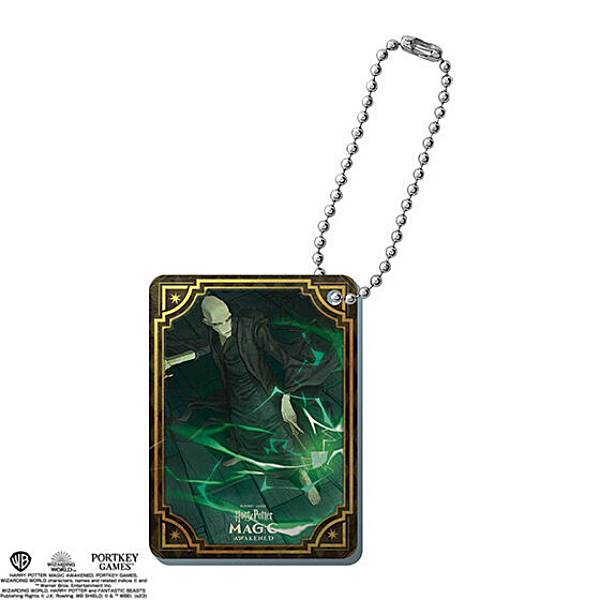 楽天市場】【セブルス・スネイプ(A)】ハリー・ポッター アクリル