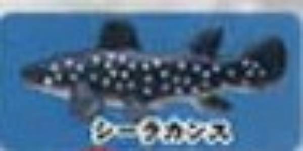 楽天市場】ZAK 深海生物 海洋堂 シーラカンス : amax 楽天市場店