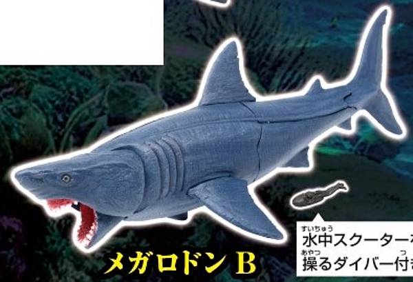 楽天市場】メガロドン フィギュア プレヒストリックライフ