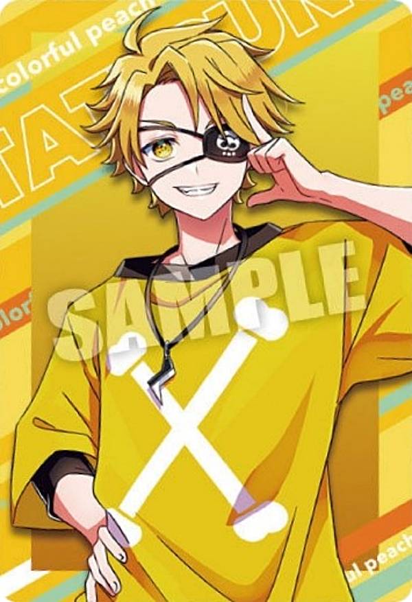 楽天市場】【No.04 たっつん (スペシャルアートカード