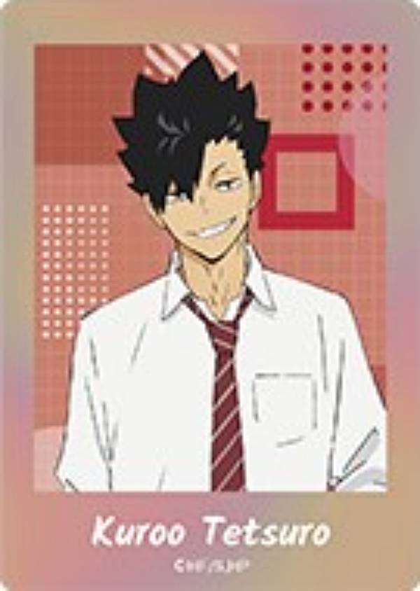 ハイキュー　パシャこれ　premium 月島蛍 月島蛍 ハイキュー!! ぱしゃこれ PREMIUM : REALiZE