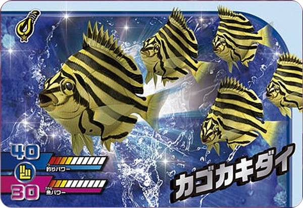 楽天市場】カードダス 釣りスピリッツ ワンダーVol.1 20パック入りBOX