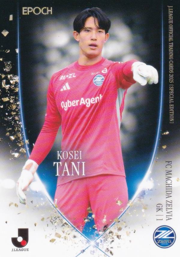 楽天市場】木下正貴 2008 サッカー Jリーグ TE プレミアム ガンバ大阪