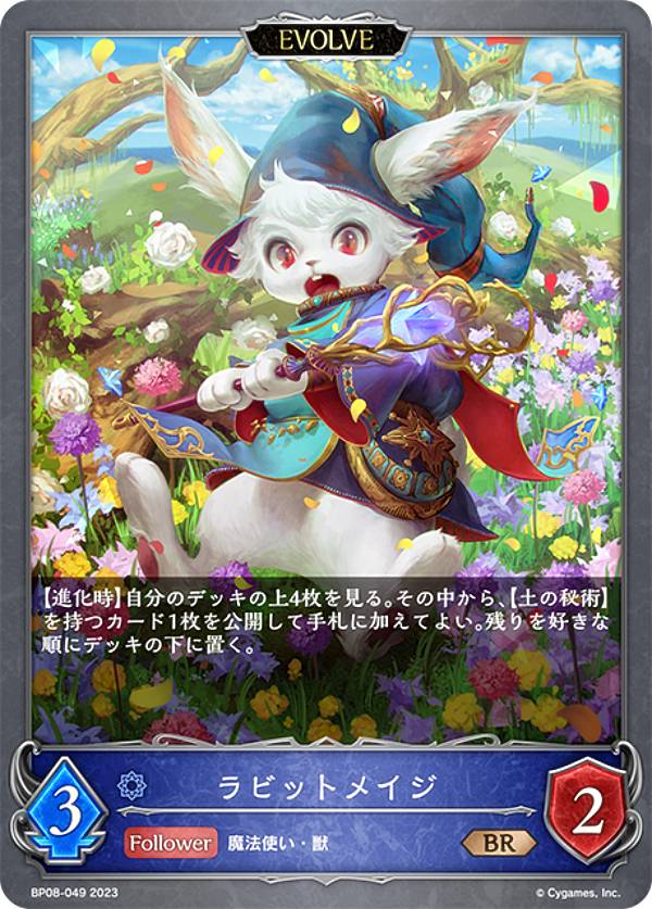 シャドバエボルヴ 2枚セット PRODUCTS | Shadowverse EVOLVE（シャドウバース エボルヴ）公式