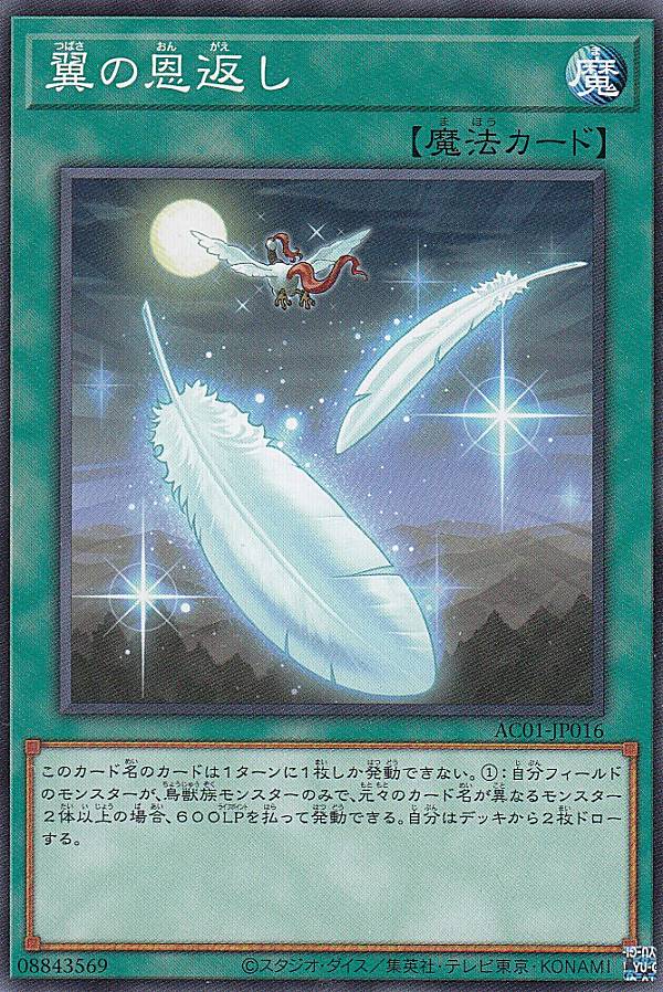 進化する翼　アジア　レリーフ 楽天市場】旧アジア版 進化する翼 TRANSCENDENT WINGS CRV-AE045