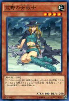 遊戯王 女剣士 地属性 レベル4 ホロカード dc0100002.jpg