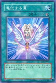 楽天市場】旧アジア版 進化する翼 TRANSCENDENT WINGS CRV-AE045