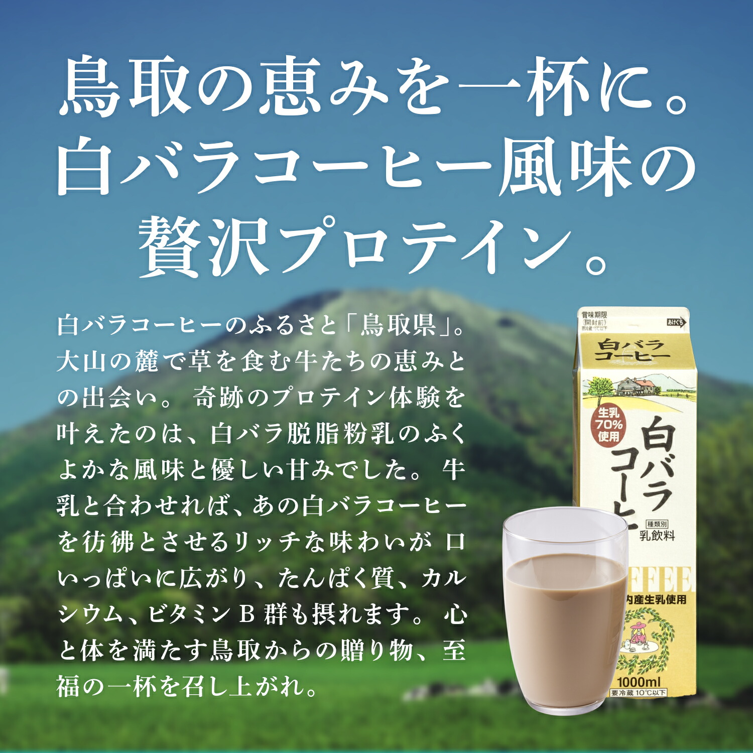 総合1位【7月2日再販予定】【LINE登録で最大1000円OFF】 WPC