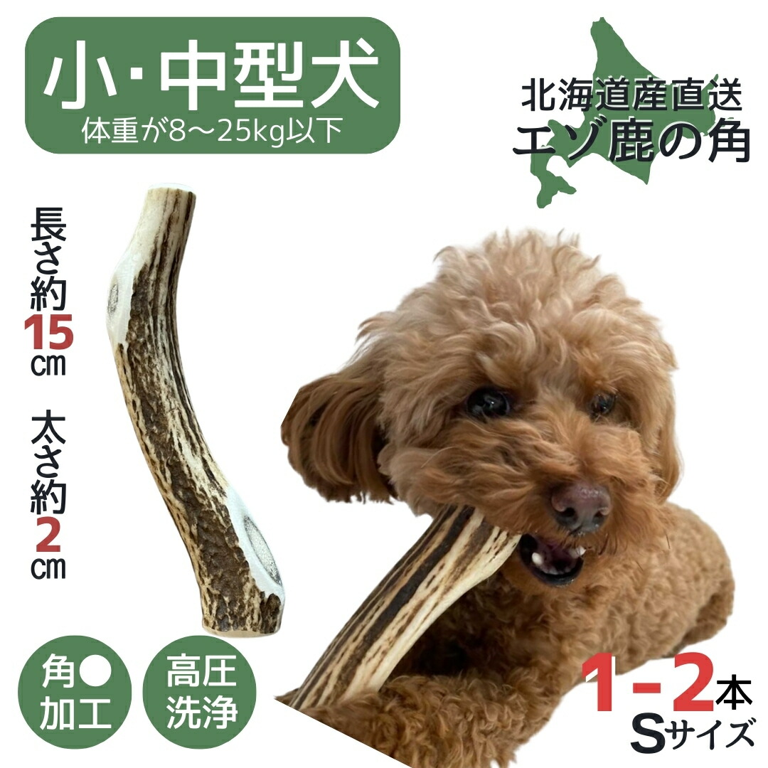 楽天市場】鹿の角 枝先10cm前後を200gセット アクセサリー用