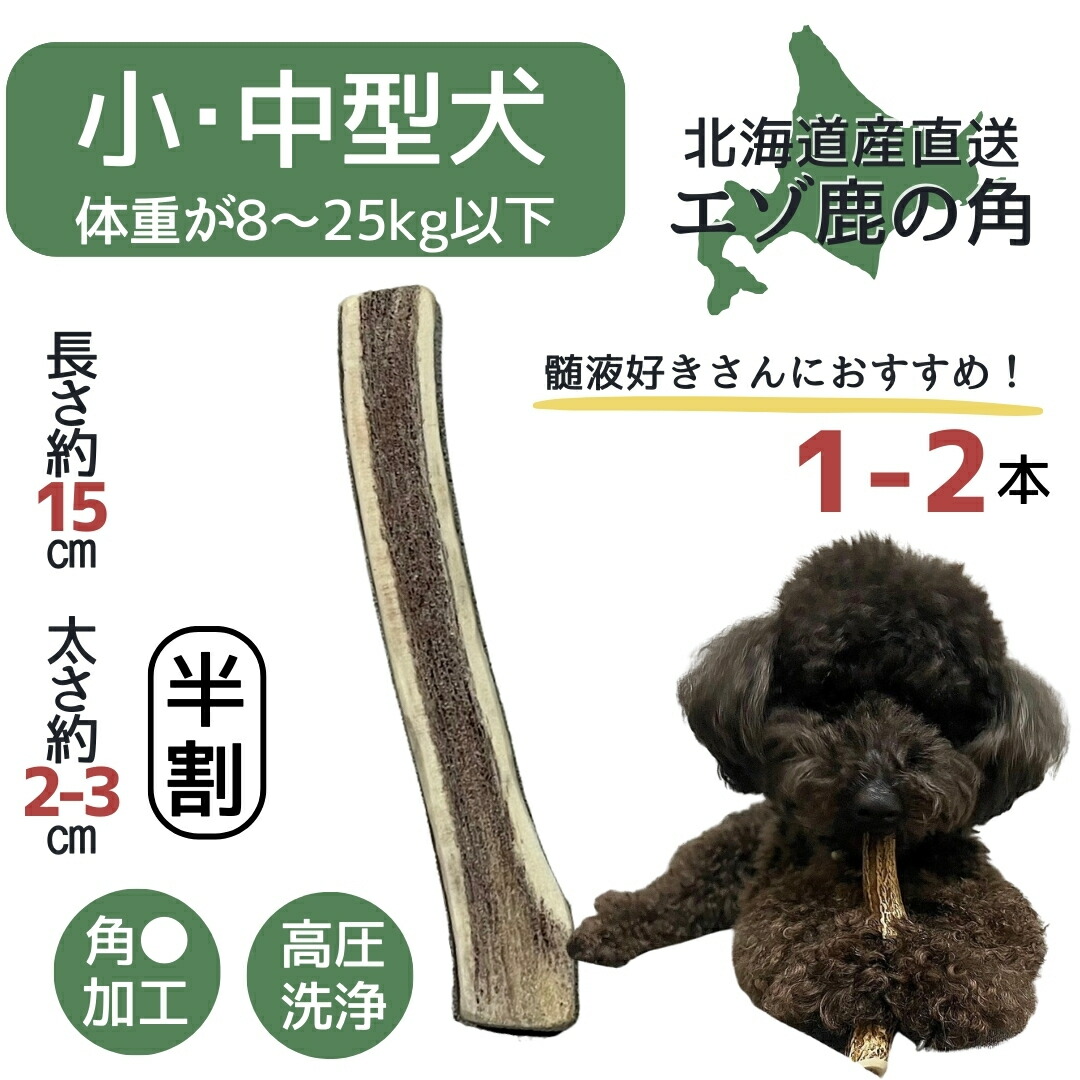 楽天市場】【お買い物マラソン限定！ポイント10倍】鹿角 Sサイズ 1本 2本 北海道 犬のおやつ 蝦夷鹿 鹿角 鹿の角 犬 デンタルケア 無添加  長持ち 犬用品 犬用 おもちゃ ペットグッズ ペット いぬ ドッグ 歯みがき はみがき 小型犬 中型犬 ペット用品 犬のガム 噛む 玩具 ...