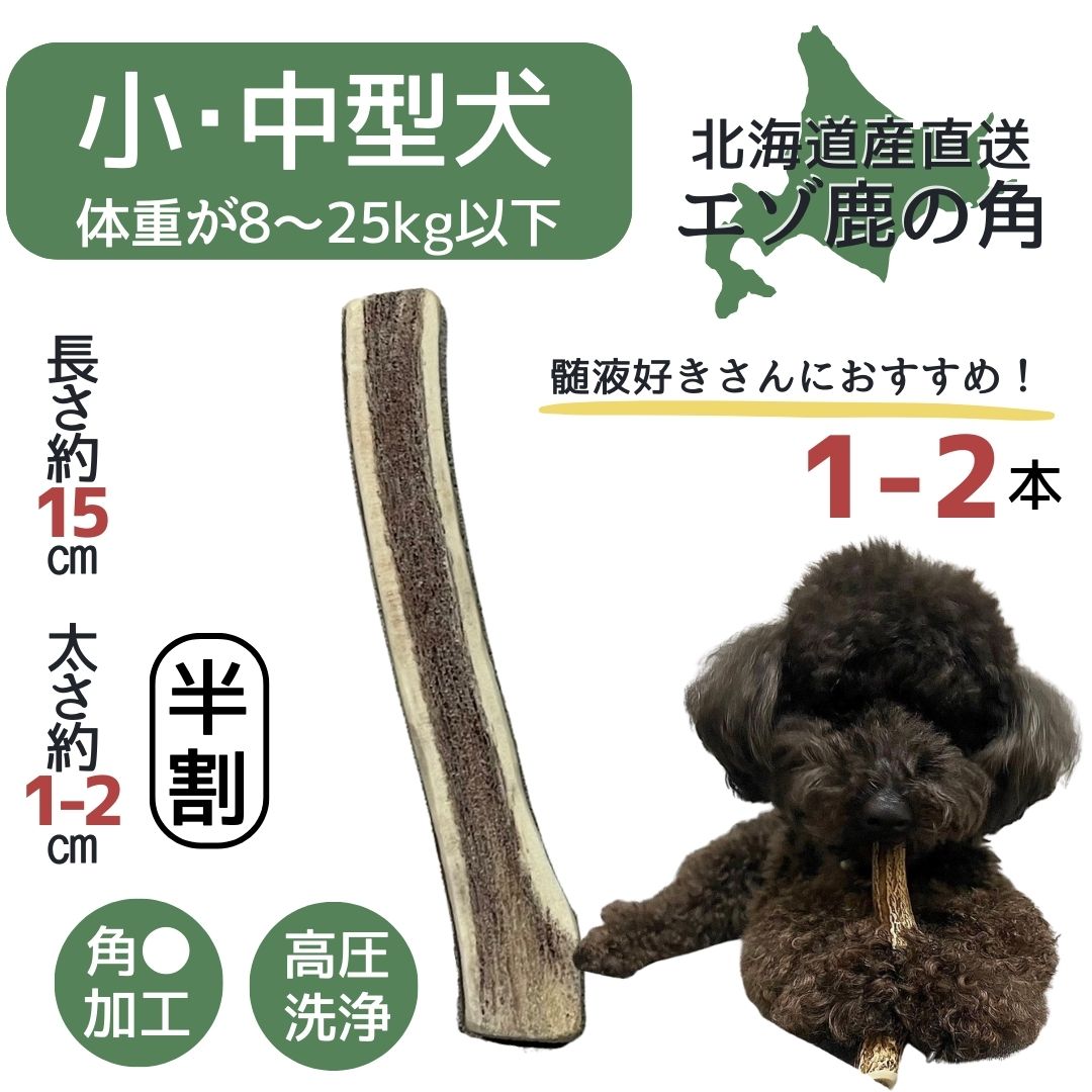 鹿角 アクセサリー素材 端材 根本 クラウン
