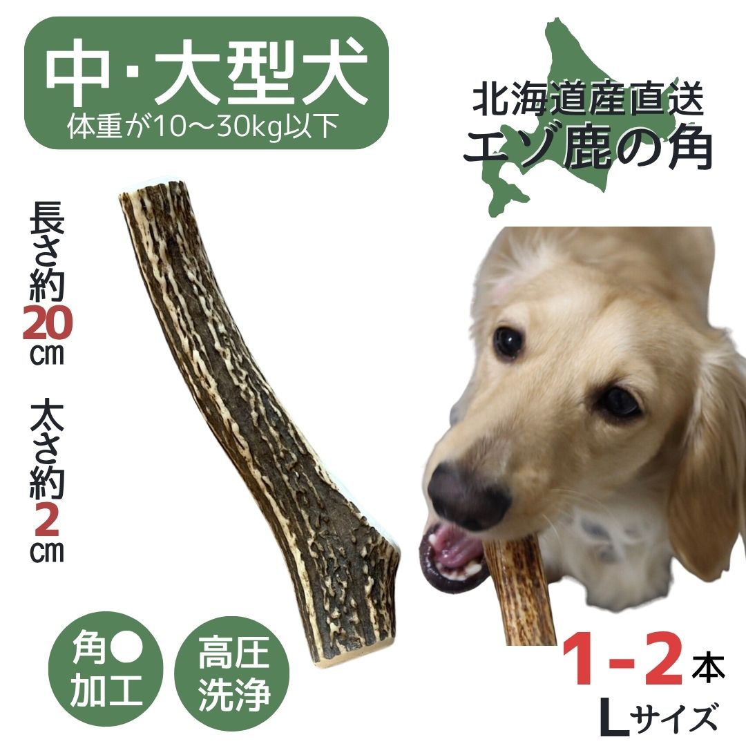 楽天市場】鹿の角 5cm前後を100g分セット アクセサリー用 パーツ
