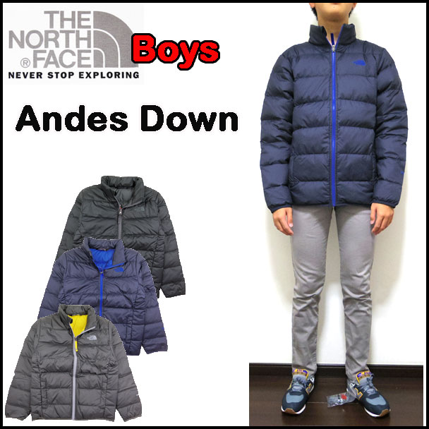north face andes down