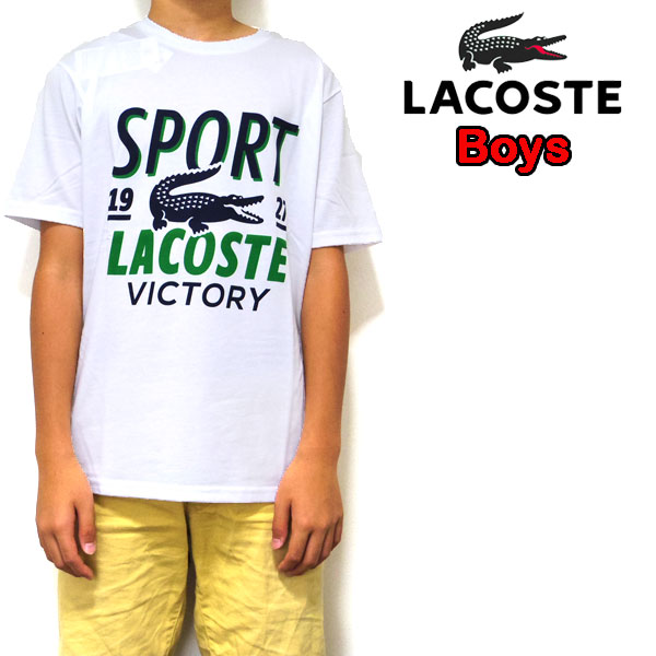 楽天市場】ラコステ tシャツ 半袖 レディース メンズ マイン