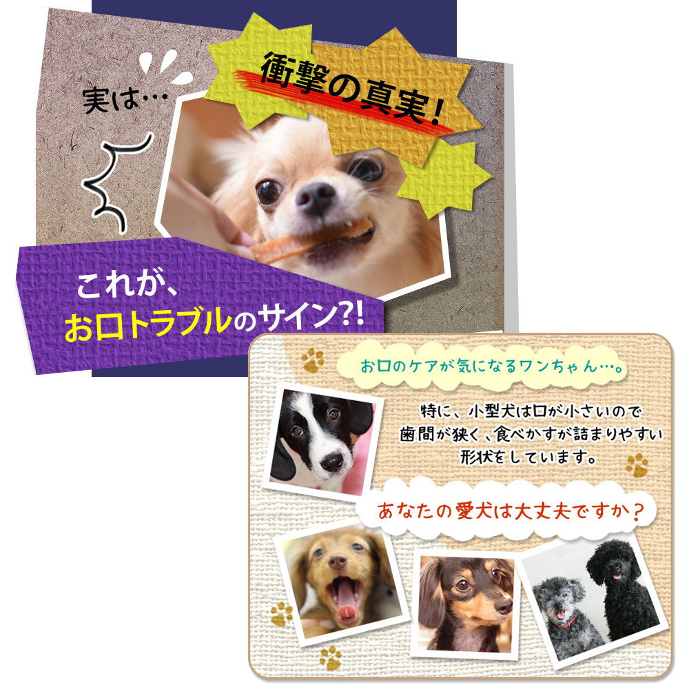 楽天市場 愛犬の歯周病予防 犬用デンタルケア ジェル Dr Wandel ドクターワンデル 30g 1ヶ月分 リボーテ Re Beaute 公式ストア 歯周病対策 犬 口臭 ペット 口臭ケア ペット 歯磨き リボーテ 楽天市場店