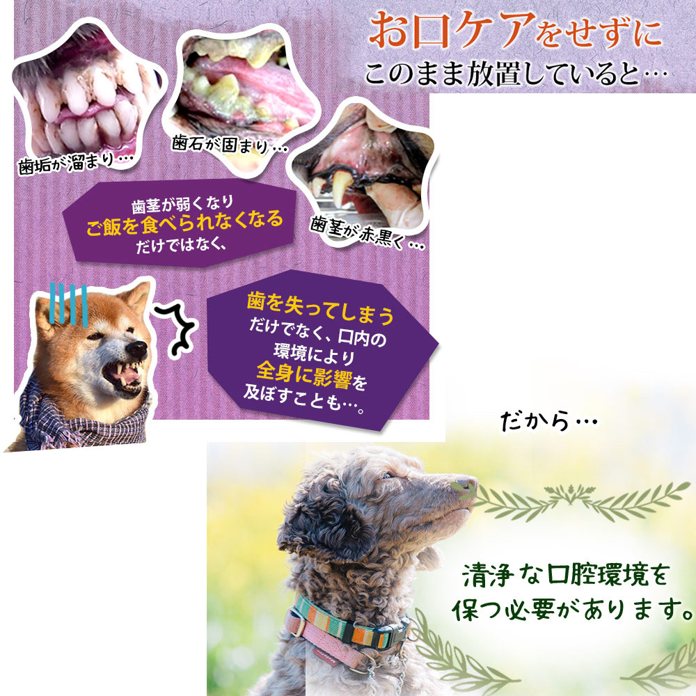 楽天市場 愛犬の歯周病予防 犬用デンタルケア ジェル Dr Wandel ドクターワンデル 30g 1ヶ月分 リボーテ Re Beaute 公式ストア 歯周病対策 犬 口臭 ペット 口臭ケア ペット 歯磨き リボーテ 楽天市場店