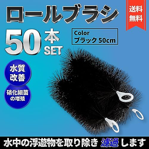 想像を超えての 送料無料 ロールフィルター 50cm 50本セット 黒 ロールブラシ ブラック ろ材 濾過 フィルター 水槽 池 淡水魚 熱帯魚 海水魚 錦鯉 ゴミ取り 濾材 Fucoa Cl