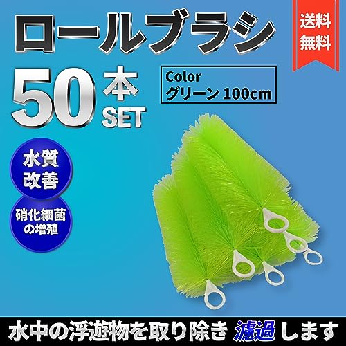 流行 送料無料 ロールフィルター 100cm 50本セット 緑 ロールブラシ グリーン ろ材 濾過 フィルター 水槽 池 淡水魚 熱帯魚 海水魚 錦鯉 ゴミ取り 濾材 Fucoa Cl