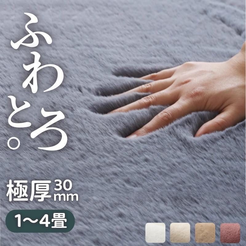 カーペット 洗える ラグ 厚手 ふわとろ 無地 北欧 秋 冬 絨毯 ホットカーペット 床暖対応 リビング マット 長方形 四角 滑り止め付き おしゃれ