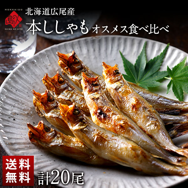 【計20尾】北海道 広尾産 本ししゃも 夫婦セット オス メス食べ比べ (各10尾)【送料無料】<br>北海道で水揚げされた本ししゃも<br><br>子持ち お取り寄せグルメ 魚 年末年始 お正月