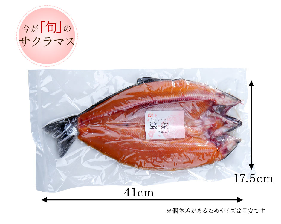 楽天市場 北海道産 天然サクラマス 昆布出し干物 開き 5個購入で送料無料 ギュッとしまった身は柔らかく 脂のり抜群 北海道 本鱒 桜鱒 ます マス 鱒 グルメ 食品 景品 お土産 海鮮 鮮魚 お取り寄せ お返し 魚 さくらます 島の人 礼文島の四季 北海道ギフト