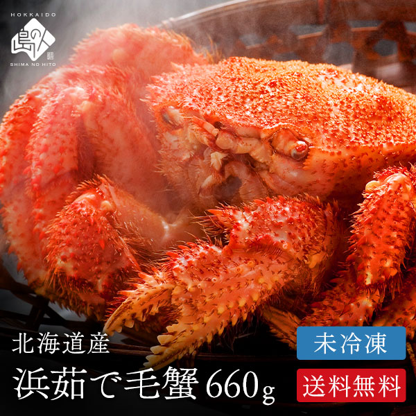 北海道 オホーツク海産 未冷凍 流氷明け毛ガニ 660g前後 【送料無料】 蟹 毛蟹 けがに かに ボイル かにみそ お取り寄せグルメ 海鮮 海産物 食品 食べもの