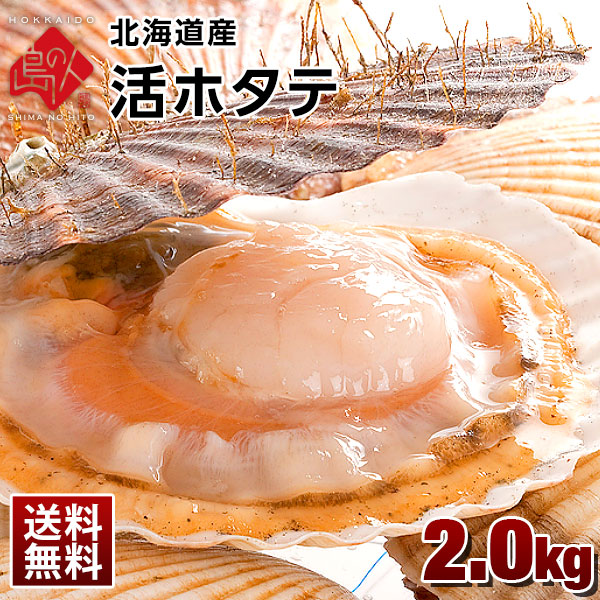 楽天市場 6月26日 6月27日お届け 北海道産 活ホタテ 2 0kg 10枚前後入 送料無料 未冷凍 生食ok 殻付き帆立 ほたて 貝柱 帆立 グルメ プレゼント 北海道 食品 貝 お取り寄せグルメ 海鮮 北海道 バーベキュー 高級 島の人 礼文島の四季 北海道ギフト