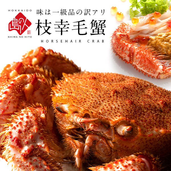 【キズ有・ご自宅品】北海道 枝幸産 毛蟹 【送料無料】<br><br>北海道産 蟹 毛ガニ 毛蟹 けがに かに ボイル かにみそ お取り寄せグルメ 海鮮 海産物 食品 食べもの グルメ 訳あり お正月 年末年始