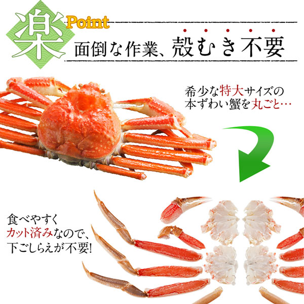 生ズワイガニ いくら カット済み ずわい 1 25kg 送料無料 ズワイ かに カニ 蟹 ずわい ズワイ カニしゃぶ 蟹しゃぶ プレゼント グルメ ギフト 北海道 誕生日プレゼント 食品 内祝い 誕生日 贈り物 お土産 海鮮 お取り寄せ お返し お祝い お歳暮 島の人 礼文島の四季