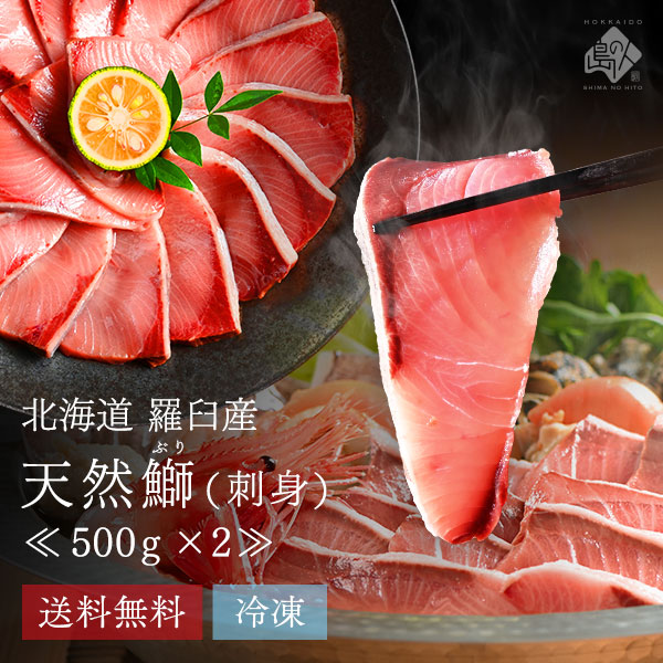 北海道 知床・羅臼産 天然ぶり刺身 1.0kg (500g×2) <br><br>お取り寄せグルメ お土産 ブリ 鰤 ワラサ イナダ ハマチ 魚 グルメ 食品 食べ物 高級