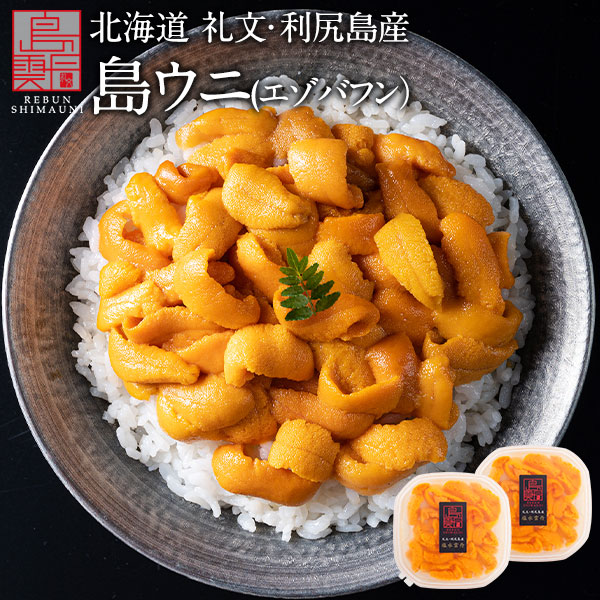 【新物予約】うに 北海道 礼文・利尻島産 生エゾバフンウニ 160g(うに丼2杯分)【送料無料】<br>雲丹 生うに 塩水パック 塩水ウニ ギフト グルメ 食品 食べもの 海鮮 海鮮丼 寿司 贈り物 お取り寄せグルメ ミョウバン未使用 バフン バフンウニ 父の日 お中元 御中元