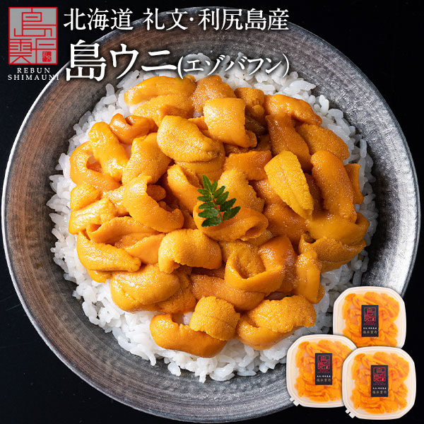 【新物予約】うに 北海道 礼文・利尻島産 生エゾバフンウニ 240g(うに丼3杯分)【送料無料】<br><br>雲丹 生うに 塩水パック 塩水ウニ ギフト グルメ 食品 食べもの 海鮮 海鮮丼 寿司 贈り物 お取り寄せグルメ ミョウバン未使用 ご飯のお供 バフン 父の日 お中元 御中元