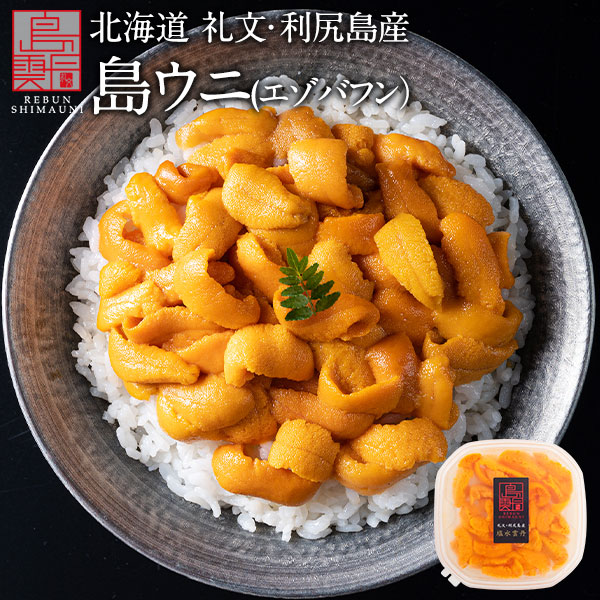 【新物予約】うに 北海道 礼文・利尻島産 生エゾバフンウニ 80g(うに丼1杯分) 【送料無料】<br><br>雲丹 生うに 塩水パック 塩水ウニ ギフト グルメ 食品 食べもの 海鮮 海鮮丼 寿司 贈り物 お取り寄せグルメ ミョウバン未使用 バフン バフンウニ 高級 父の日 お中元