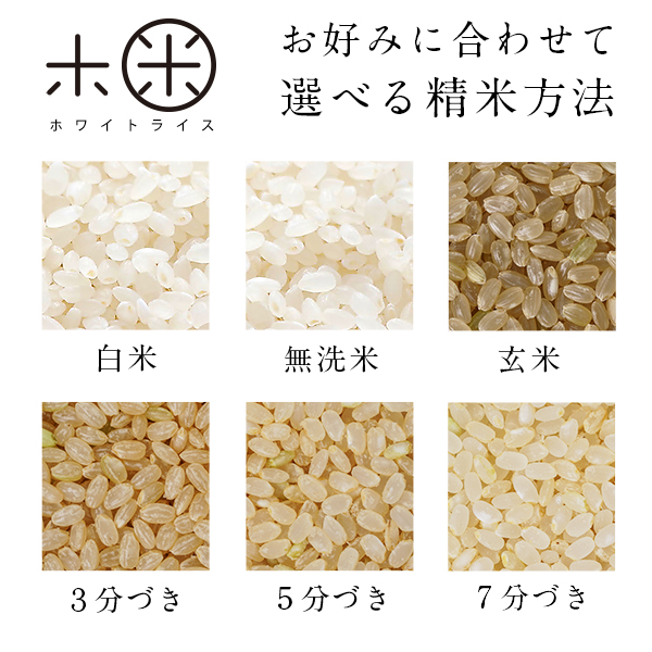令和5年度米 特A 北海道産 ななつぼし 10kg 送料無料 無洗米 白米 玄米(選べる精米方法) 米 お米 ホワイトライス 残留農薬検査済み