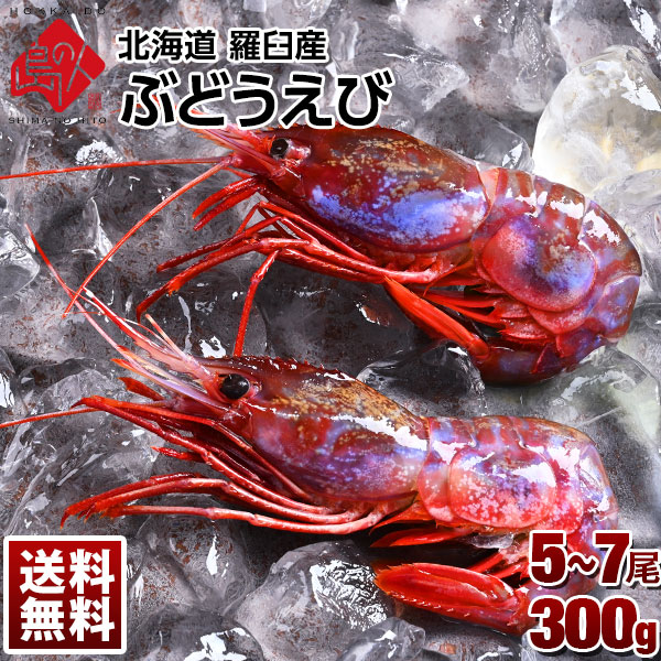 楽天市場 限定個 幻のエビ 北海道 羅臼産 ブドウエビ 300g 大中サイズ 5 7尾 送料無料 えび 海老 ヒゴロモエビ ボタンエビ 刺身 冷凍 お取り寄せ グルメ 贈答 贈り物 高級 島の人 礼文島の四季 北海道ギフト